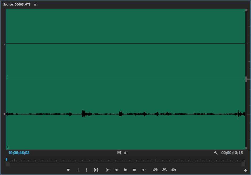 Working with Audio BEFORE YOU BEGIN EDITING Almost every video file you work with will have accompanying audio.