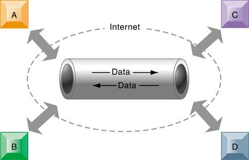 A Virtual Private Network Using the Internet Figure 7-10 This VPN is a private network of computers linked using a secure tunnel connection over the Internet.