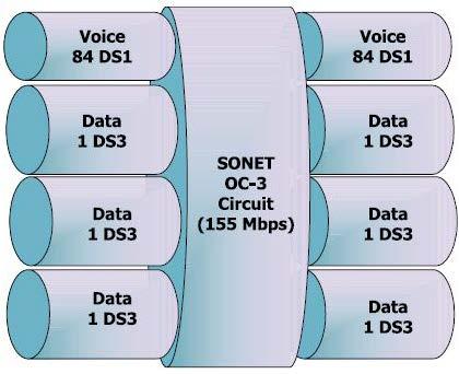 SONET/SDH SONET: Synchronous Optical Networks North America SDH: Synchronous Digital Hierarchy