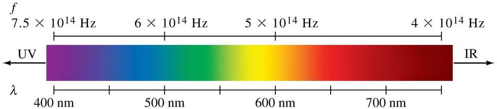 24-4 The Visible Spectrum and Dispersion Wavelengths of visible light: