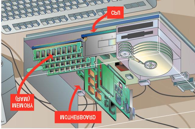 Where Processing Occurs Processing takes place in the PC's central processing unit (CPU). The system's memory also plays a crucial role in processing data.