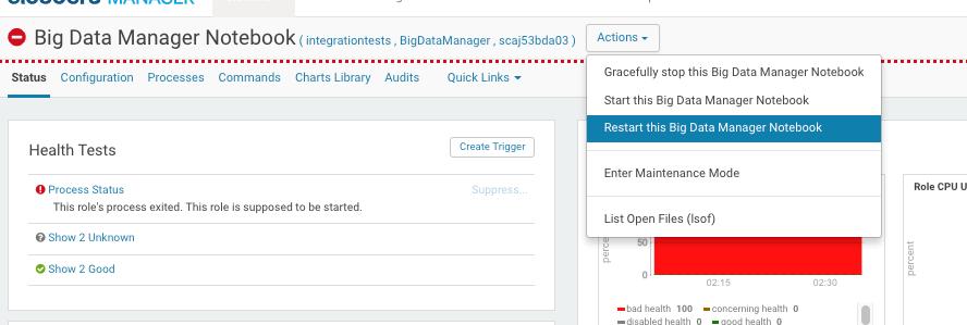 Tip: In the case of the Big Data Manager Notebook role, the restart through Configuration Manager