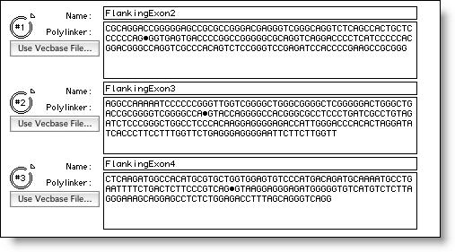 The sequences that are loaded into this window were identified from the assembly of the genomic sequence with the cdna sequence.
