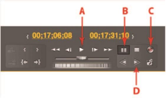 Which button on the Capture panel shown should you press to enable manual recording? A. A B. B C. C D.