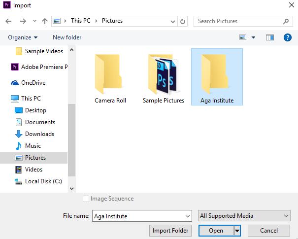 Importing Files You can import whole folders of still and moving images. When you import files you are directing the program to where the files are, not actually importing the files in the premiere.