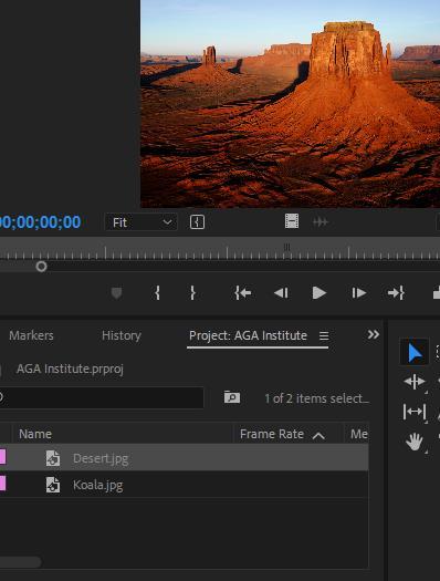 Editing You can view your files ( video, audio, images) in the source monitor by A.