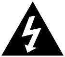 an equilateral triangle, is intended to alert the user to the presence of uninsulated dangerous voltage within the
