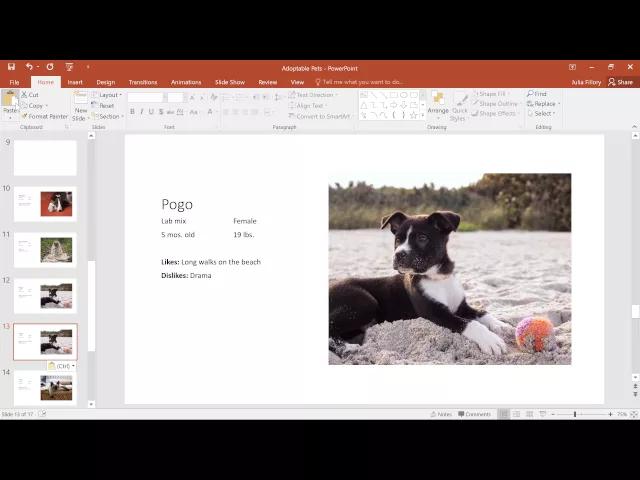 PowerPoint 2016 Slide Basics Introduction Every PowerPoint presentation is composed of a series of slides. To begin creating a slide show, you'll need to know the basics of working with slides.
