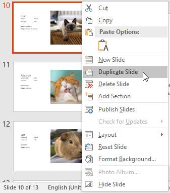 Working with slides Duplicate slides: If you want to copy and paste a slide quickly, you can duplicate it.