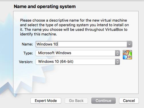 Name your Virtual Machine Windows 10 or something similar.