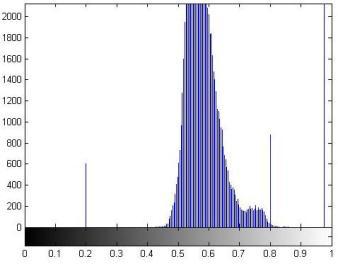 2 (c) and Fig.2 (d) respectively. Fig.3 (a) is the histogram of the original image.