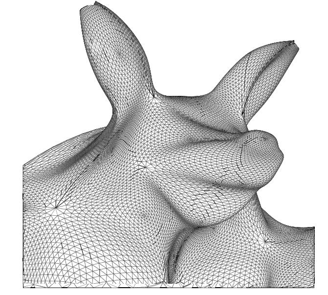 Extraordinary Points Most vertices are regular (degree 6), but not all If a mesh is