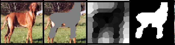 Figure 2: Examples of the generated results of our Adversarial Localization Network: First column: original input images; Second column: the masked images;