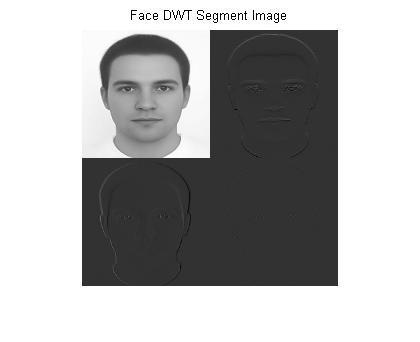 Iris recognition is an automated method of biometric identification that uses mathematical pattern-recognition techniques on video images of the iris of an individual's eyes, whose complex random