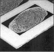 fingerprints and artificial fingers. Examples of spoofed fingers.