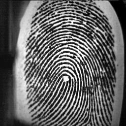 (spatial frequenc for analyzing the fingerprint texture.