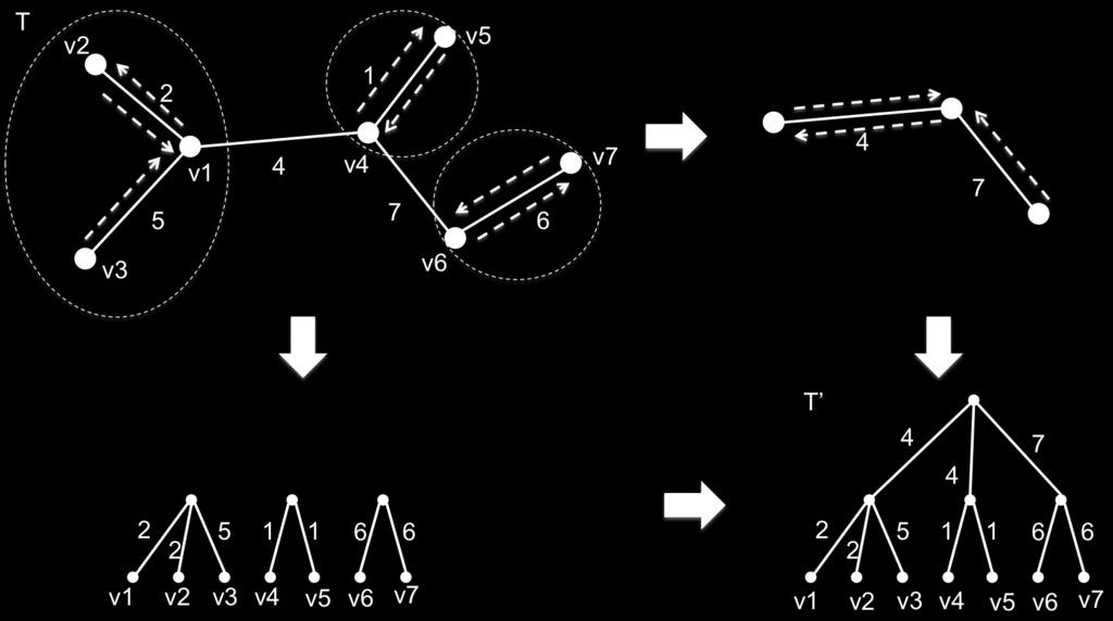 Figure 2.3: Illustratio of balacig a tree 3.1 Balace the tree Suppose T = (V, E is a tree o vertices, ad we ru Boruvka s algorithm o T.