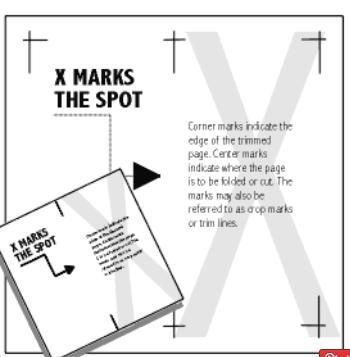 CROP MARKS: Crossed lines placed at the corners of an image or a page to indicate where to trim it.