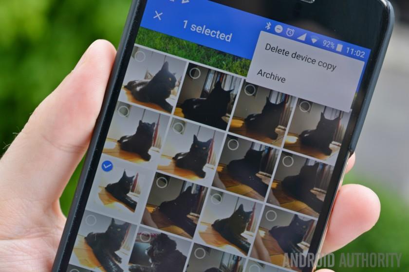 Google Photos can now identify your pets You ll now see your pets grouped