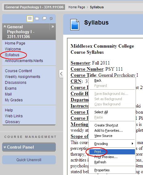 Syllabus Syllabus: overview of the class, course, requirements, grading, etc. To view the Syllabus, click the Syllabus link on Course Menu.