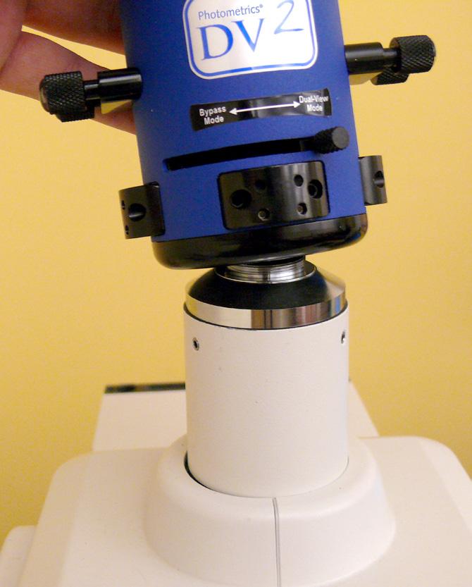Remove the C-mount adapter from the video port of your microscope (Figure 1a) and screw the adapter into the female C-mount on the DV2 (Figure 1b).
