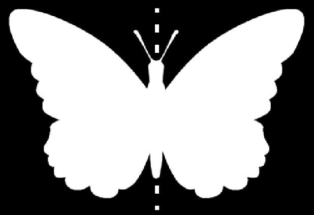 A drawing of a butterfly is shown in Figure 5.6-3. Notice the dotted line running down the center of the butterfly.