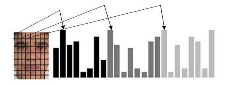 Figure. Region Histograms For every region, all the non-uniform patterns (with more than two transitions) are marked with a unique label.