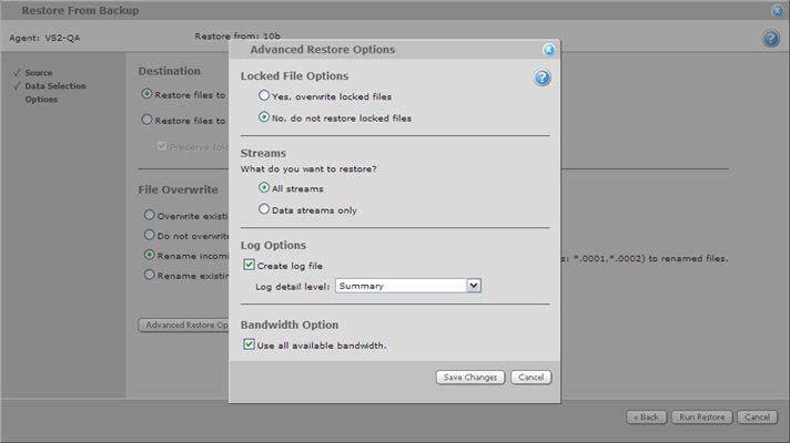 4. Through the Advanced Restore Options page, you can specify a number of settings, including logging and bandwidth options.