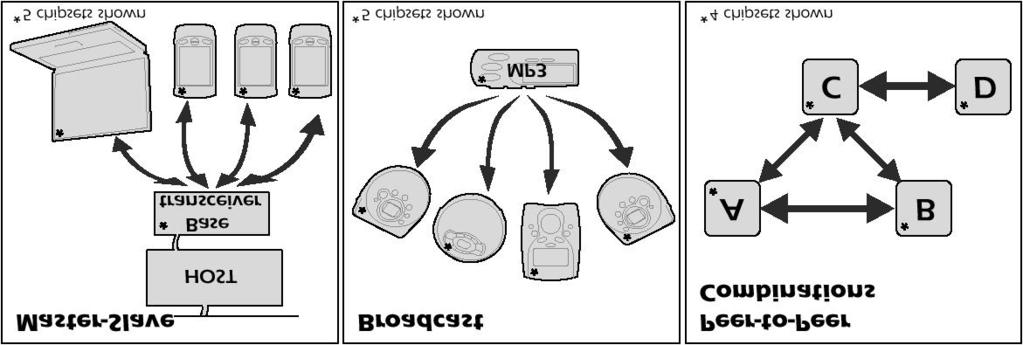 3.6. SPIKE 37 the HomeRF Working Group use the term Home Area Network (HAN) in their advertising in contrast to Personal Area Networking (PAN) used by the Bluetooth SIG.
