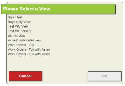 A work order module view will open in a new tab with the newly created work order(s).