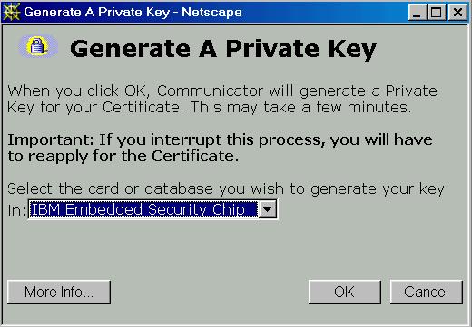 For more information on generating a digital certificate and using it with Netscape, see the documentation provided by Netscape.