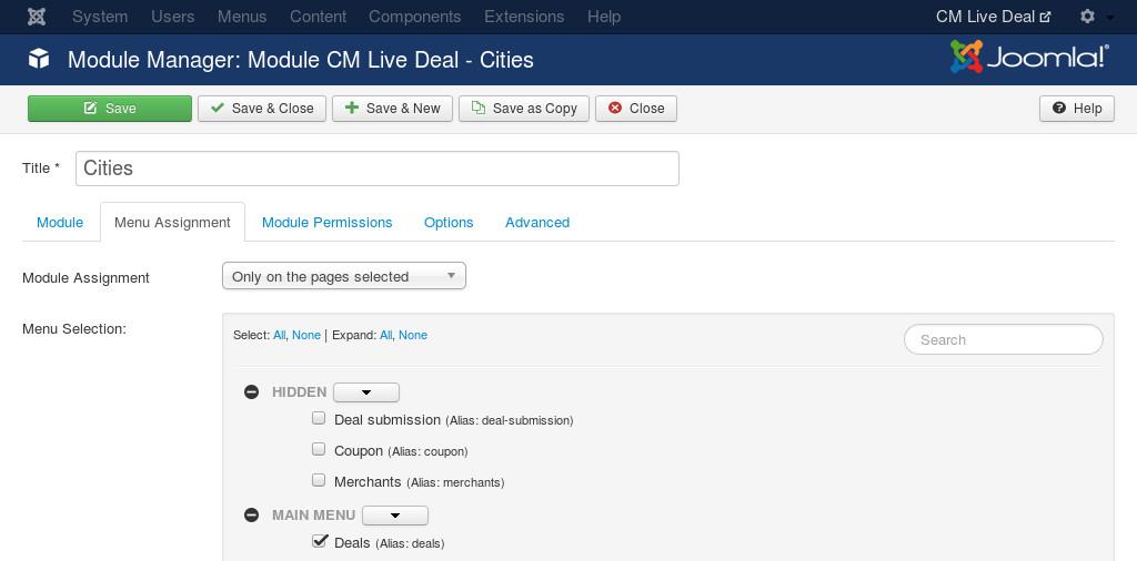 In Menu Assignment tab, you configure what pages the module is displayed on.