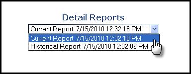 Viewing Report Details Once the report is complete, you can click the View Detail Report link for more specifics.
