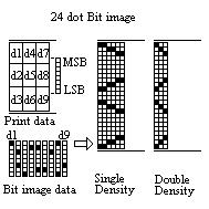 For each bit of data in single-density mode, the printer prints two dots : for each bit of data in double-density mode, the printer prints one dot.
