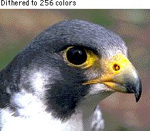 Dithering Colour reduction from 24 bits to 8 Uses limited
