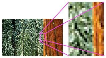 Images are made of Pixels Images are made up of pixels