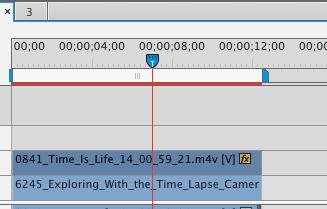 Selecting only video means that the material will only go to that video track and not the audio track.