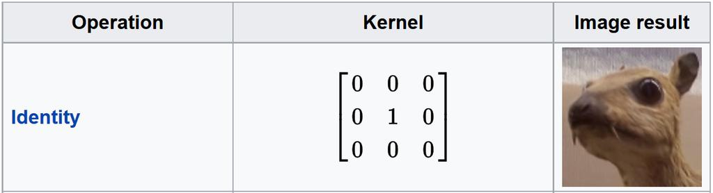 Identity kernel 0