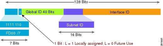 The LAN ID represents individual networks within the customer site and is administered by the customer. The Host or Interface ID has the same meaning for all unicast addresses.