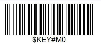 Key Set Enable Keystroke* Enable functional Key Set For example if you scan value 1004, Keystroke will be