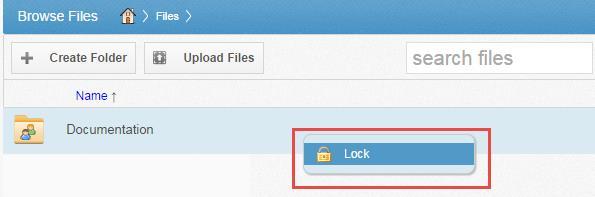 LOCKING FILES AND FOLDERS File locking allows users to place locks on files and folders in Team Shares.