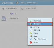 The Browse File Revisions page displays, listing all revisions of the file. 3. In the Browse File Revisions page, click the title of the file to view the file in the Web Preview tool. 4.