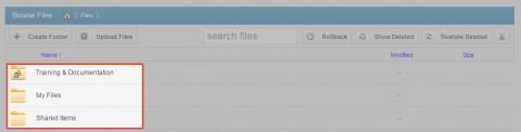 2. In the Browse Files page, you will see a list of all of your files, folders, and Team Shares. 3.