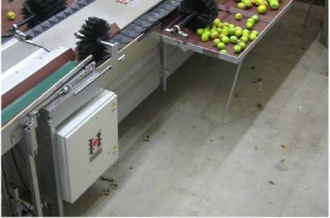 Improvement of machine performance by grading up to 10 fruits/vegetables per second with an