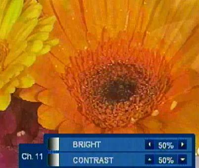 7) ADJUST CHANNEL: CH1, CH2, CH3, CH4,, CH16 The camera channel needed to adjust brightness, contrast can be selected by UP or DOWN