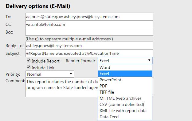 Figure 2-26: Report Subscription Delivery Options Report Parameters (if