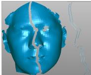 Fusion of Infrared and Range Data: Multi-modal Face Images 61 E. Mesh Fusion There are several methods to integrate registered surfaces acquired from different views.