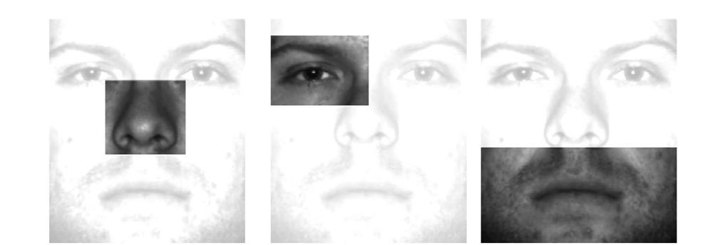 Experimental evaluations Face recognition on Extended Yale