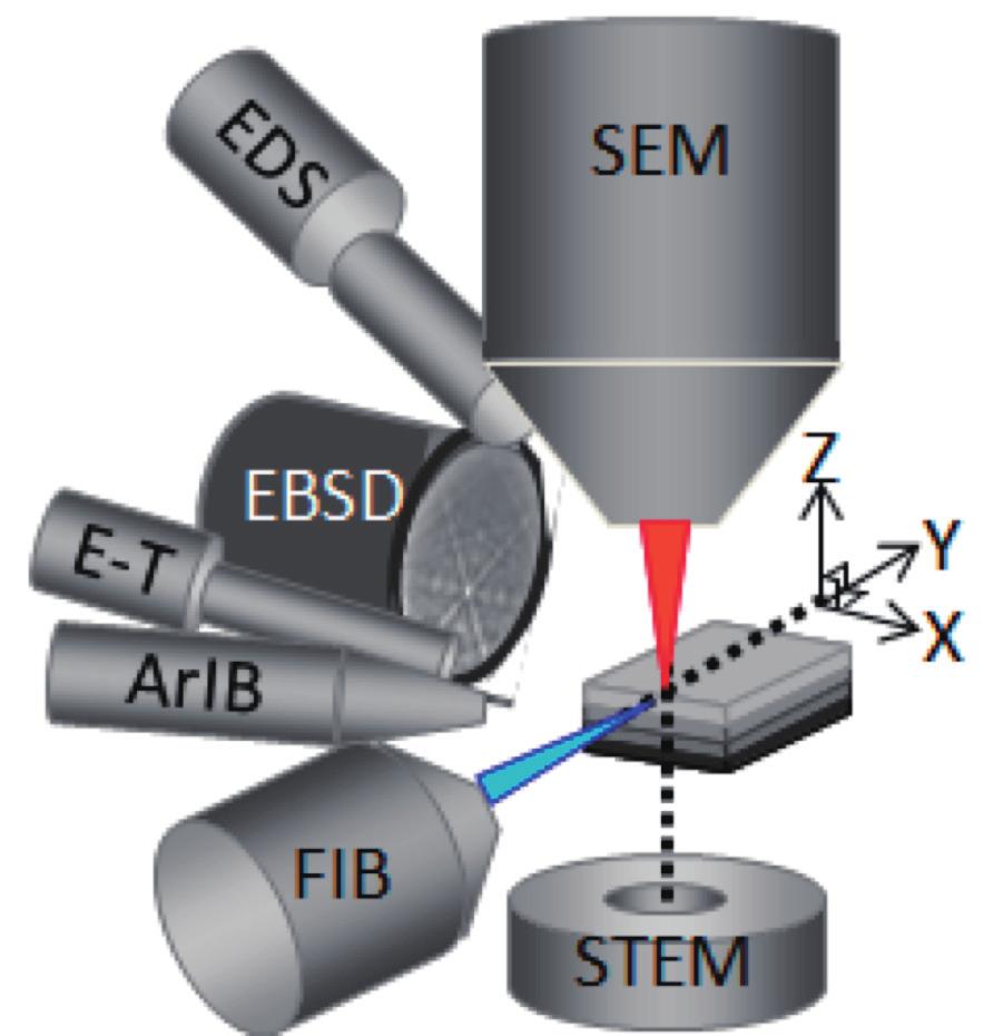 In addition, to fully extract the SEM performance in observing FIB-processed cross sections, the FIB lens barrel is aligned perpendicular to the SEM at an optimized working distance (WD) of 4 mm.