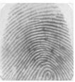 verify the claimed person. Usually Identification take more processing time as the test fingerprint is to be compared with all the fingerprint templates of the data base.